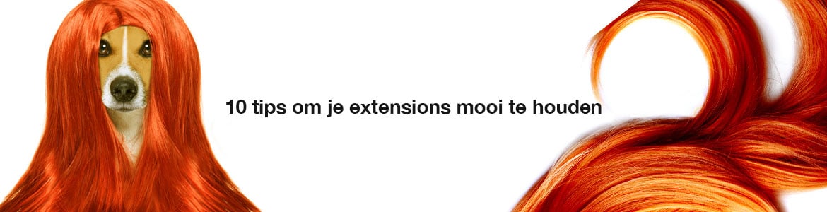 extensions-tips-faq